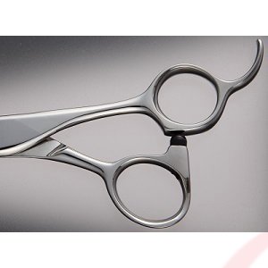 히카리 시저 SEV COSMOS S-16M 5.5인치 미용가위 안경형 이미지 3
