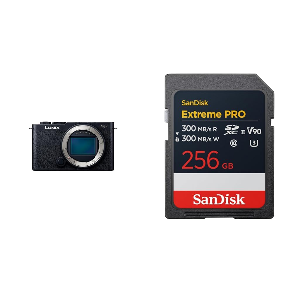 파나소닉 루믹스 DC-S9-K 제트블랙 바디 256GB