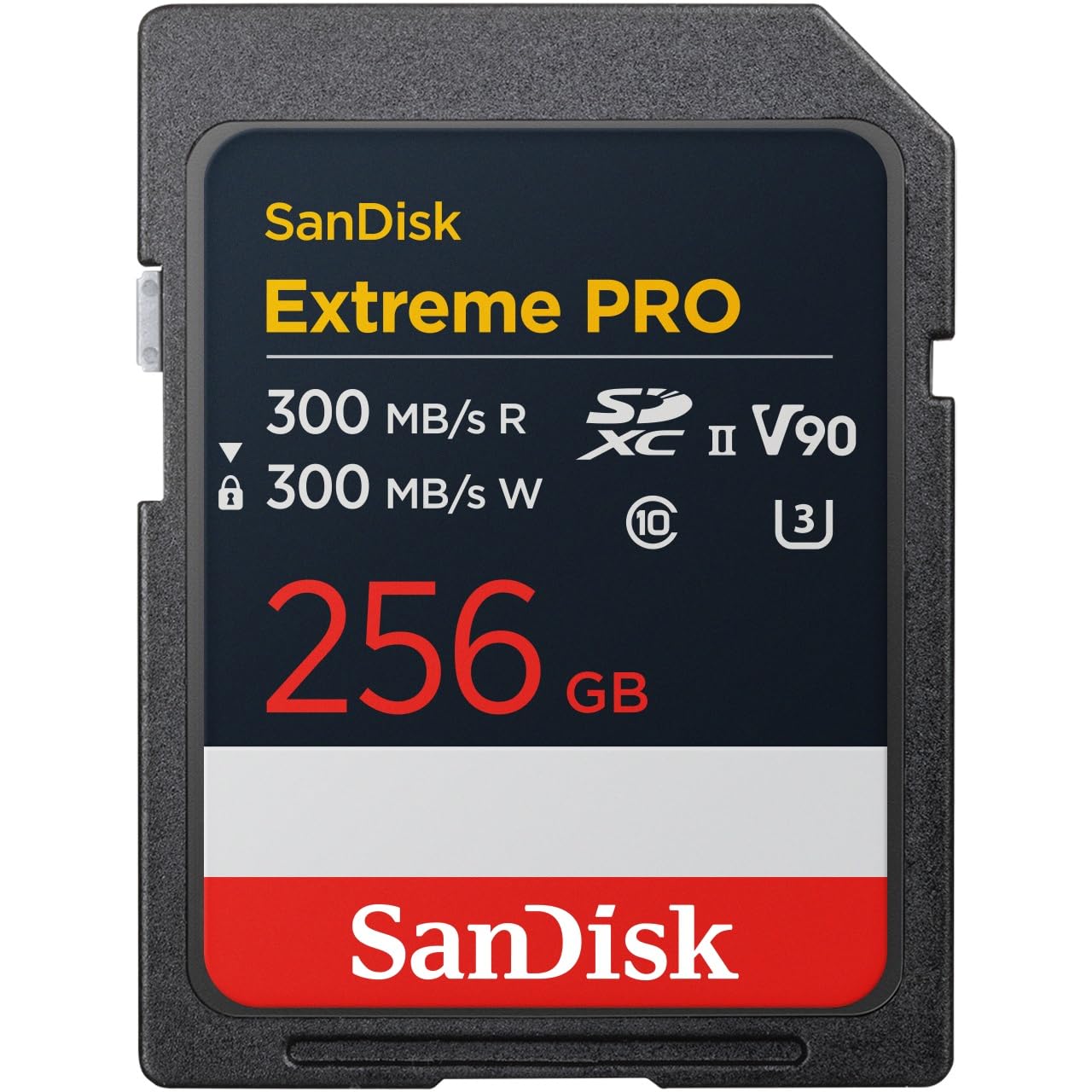 파나소닉 루믹스 DC-S9-K 제트블랙 바디 256GB 이미지 3