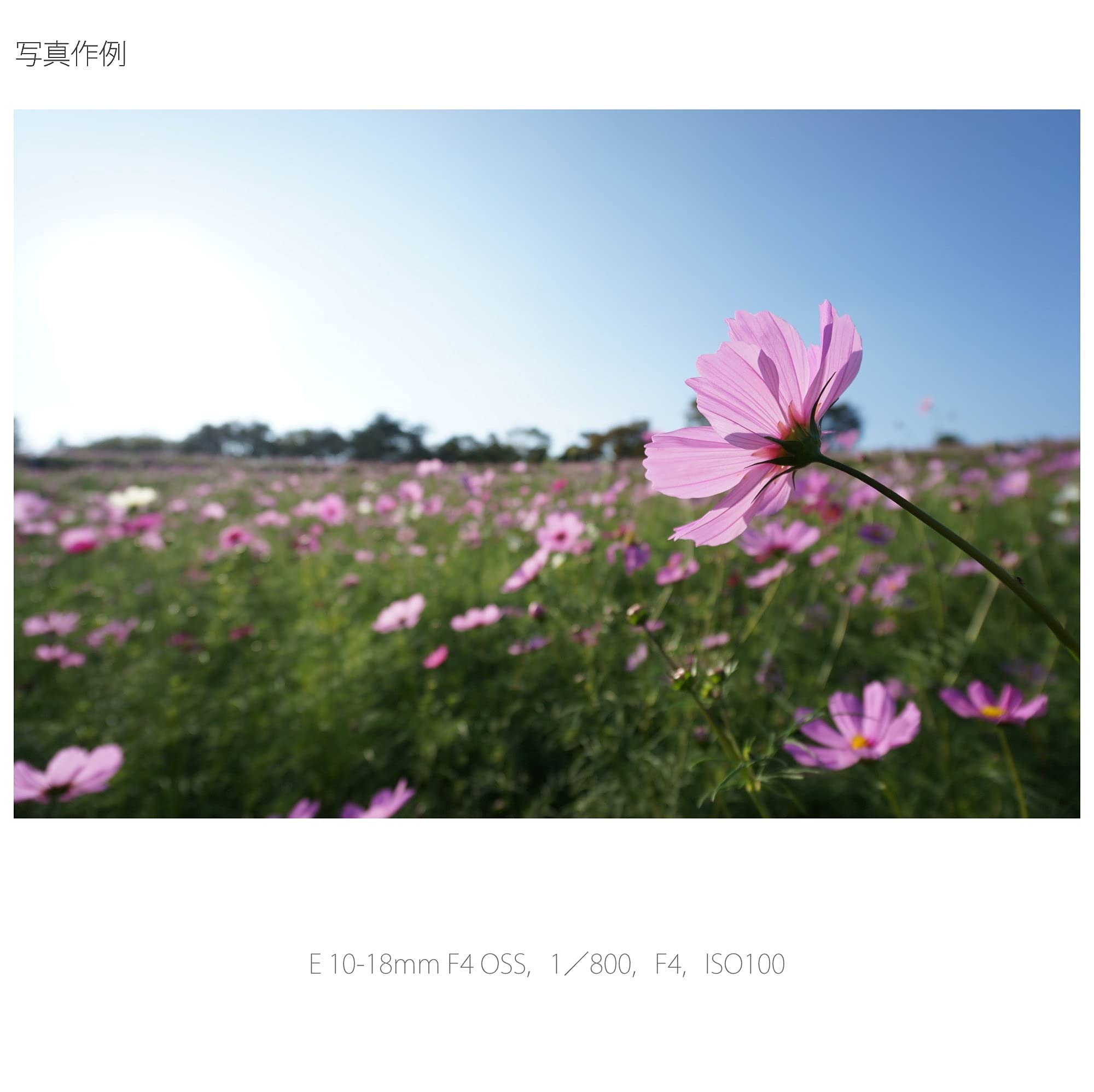 소니 SEL1018 10-18mm F4 OSS 광각 줌 렌즈 이미지 7
