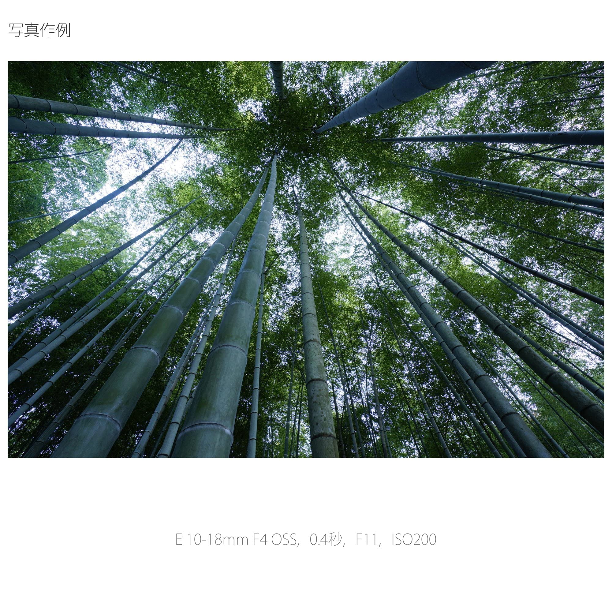 소니 SEL1018 10-18mm F4 OSS 광각 줌 렌즈 이미지 3