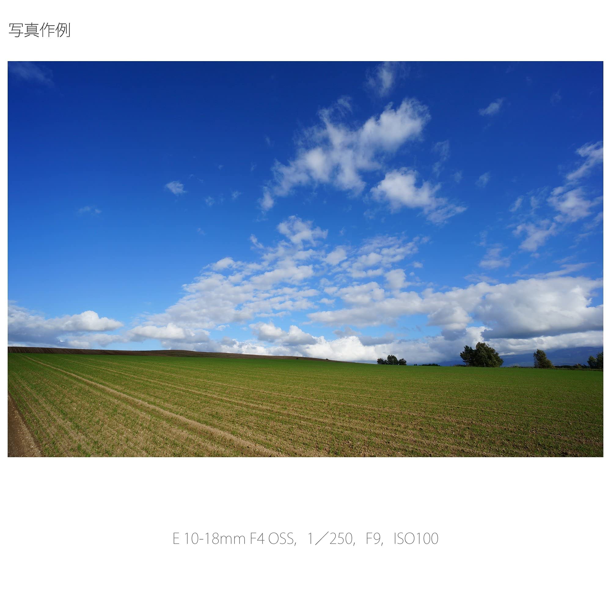소니 SEL1018 10-18mm F4 OSS 광각 줌 렌즈 이미지 6