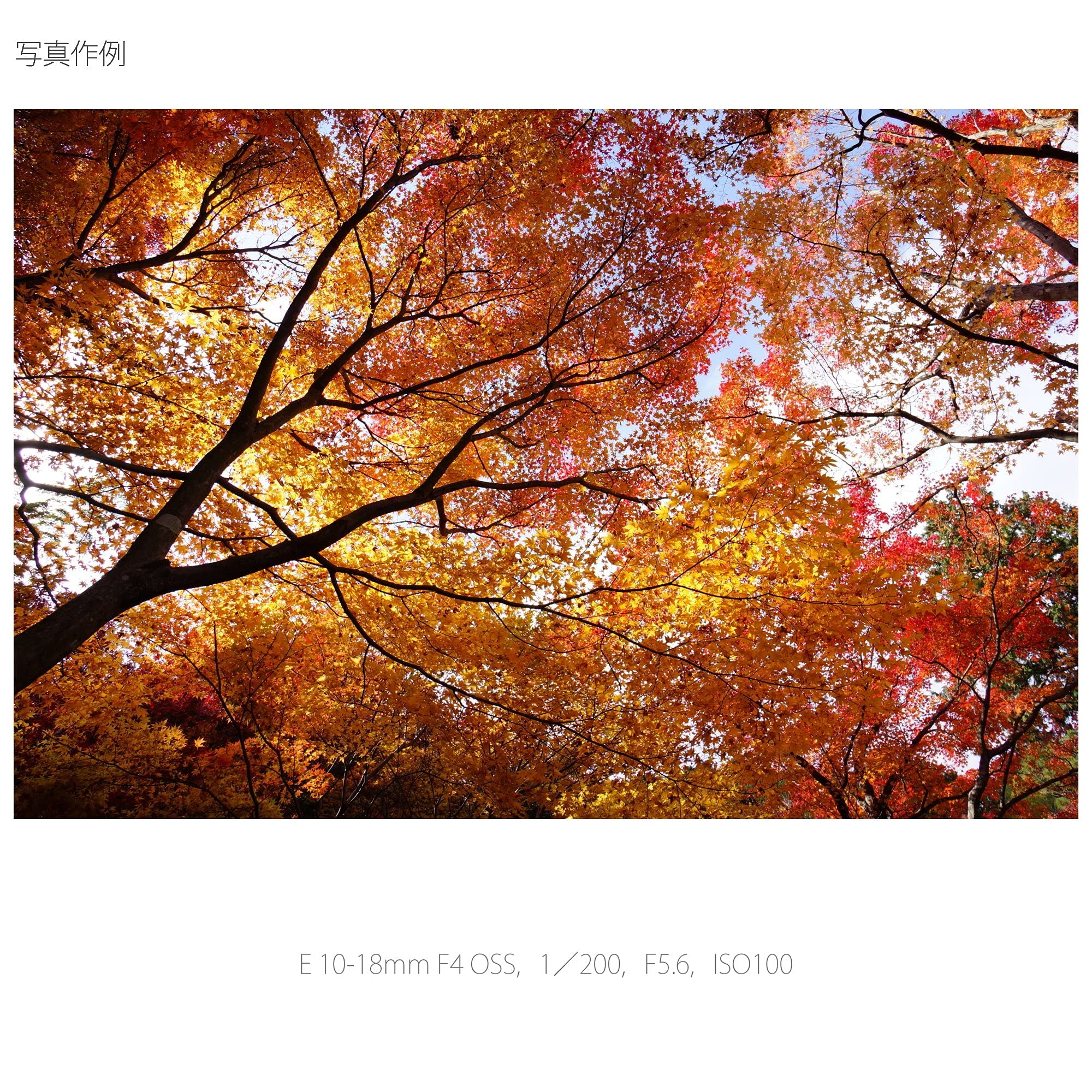 소니 SEL1018 10-18mm F4 OSS 광각 줌 렌즈 이미지 8