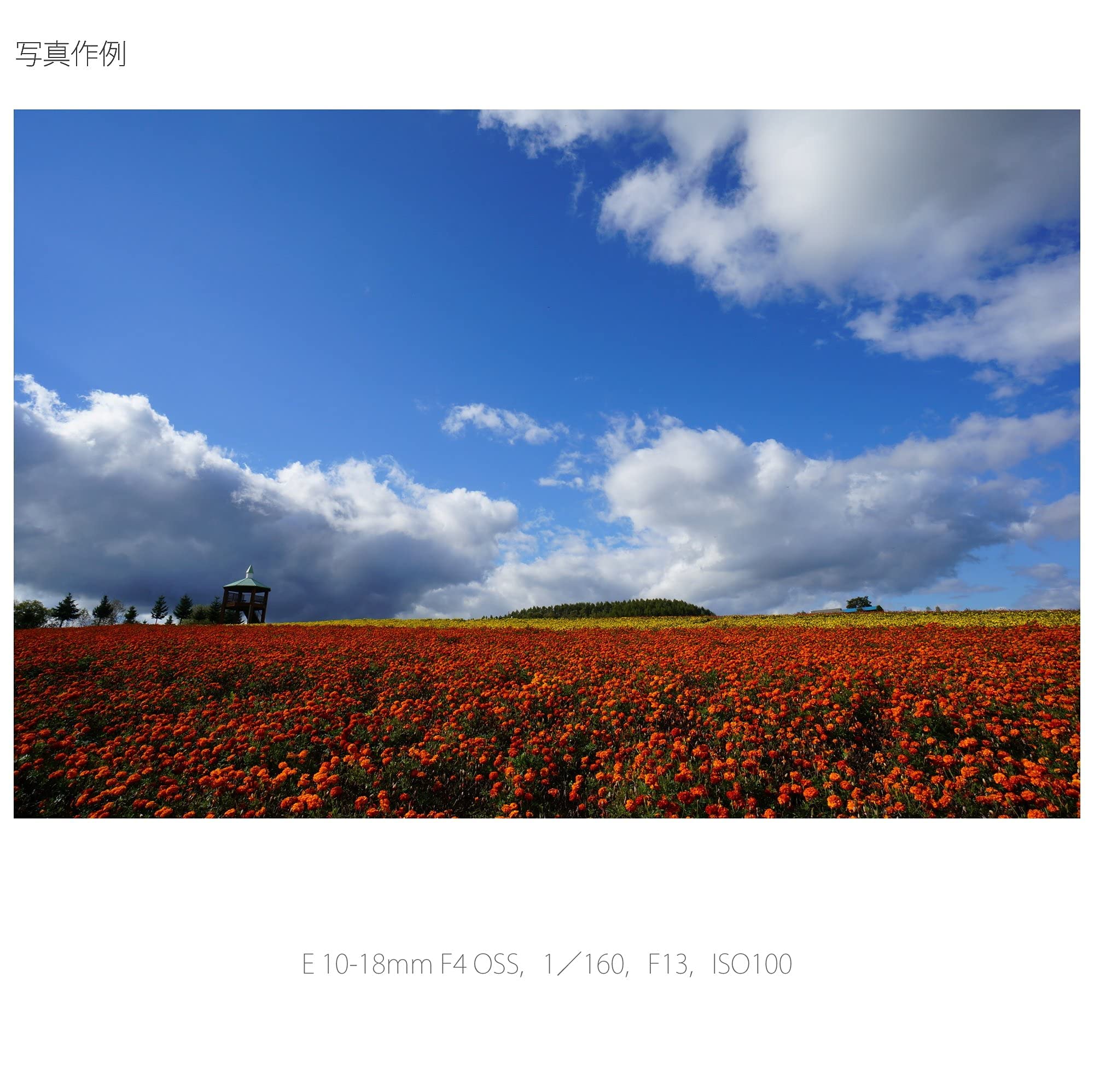 소니 SEL1018 10-18mm F4 OSS 광각 줌 렌즈 이미지 5