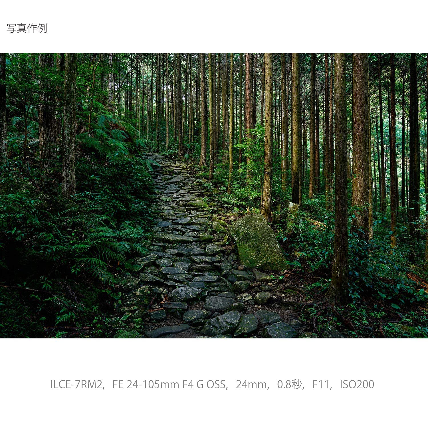 소니 알파  7C II 실버 ILCE-7CM2 SEL24105G 렌즈킷 미러리스 카메라 이미지 14