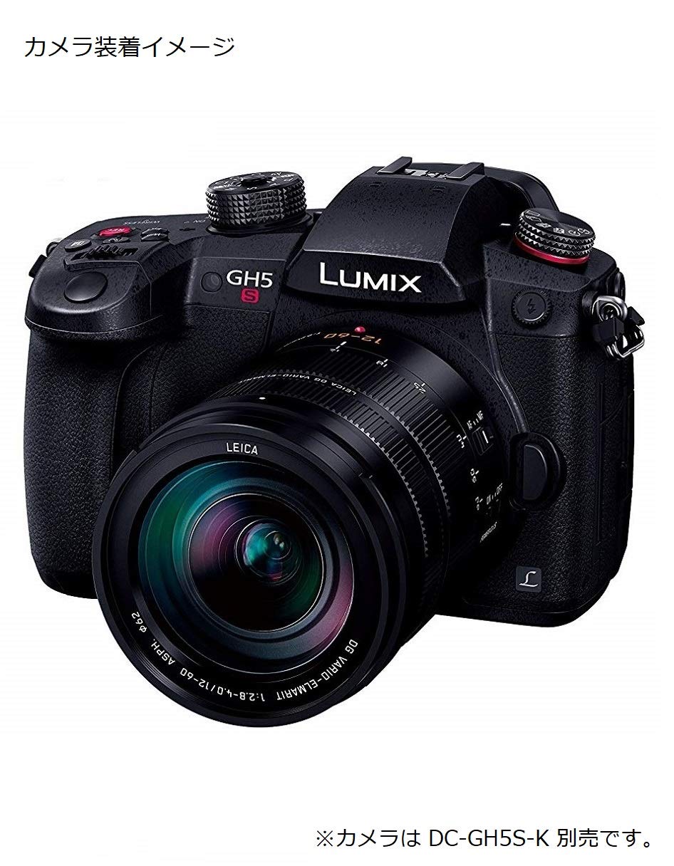 파나소닉 라이카 DG VARIO-ELMARIT H-ES12060 12-60mm 이미지 5