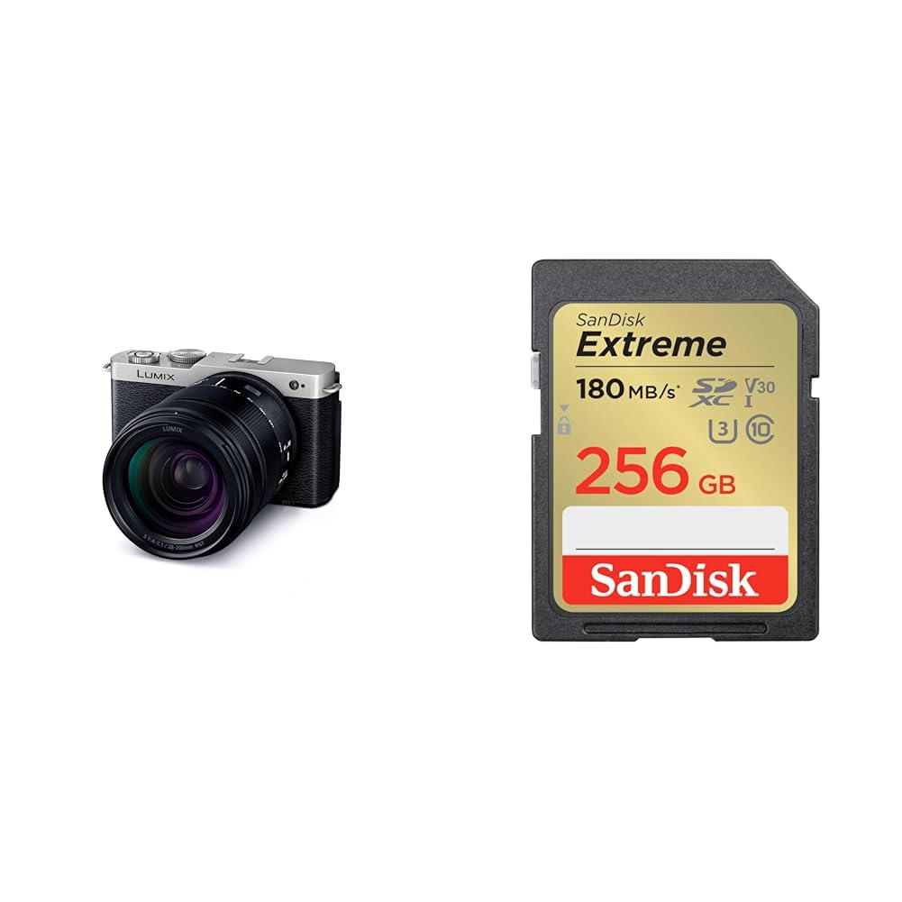파나소닉 루믹스 다크실버 DC-S9H-S 256GB 풀프레임 미러리스 카메라