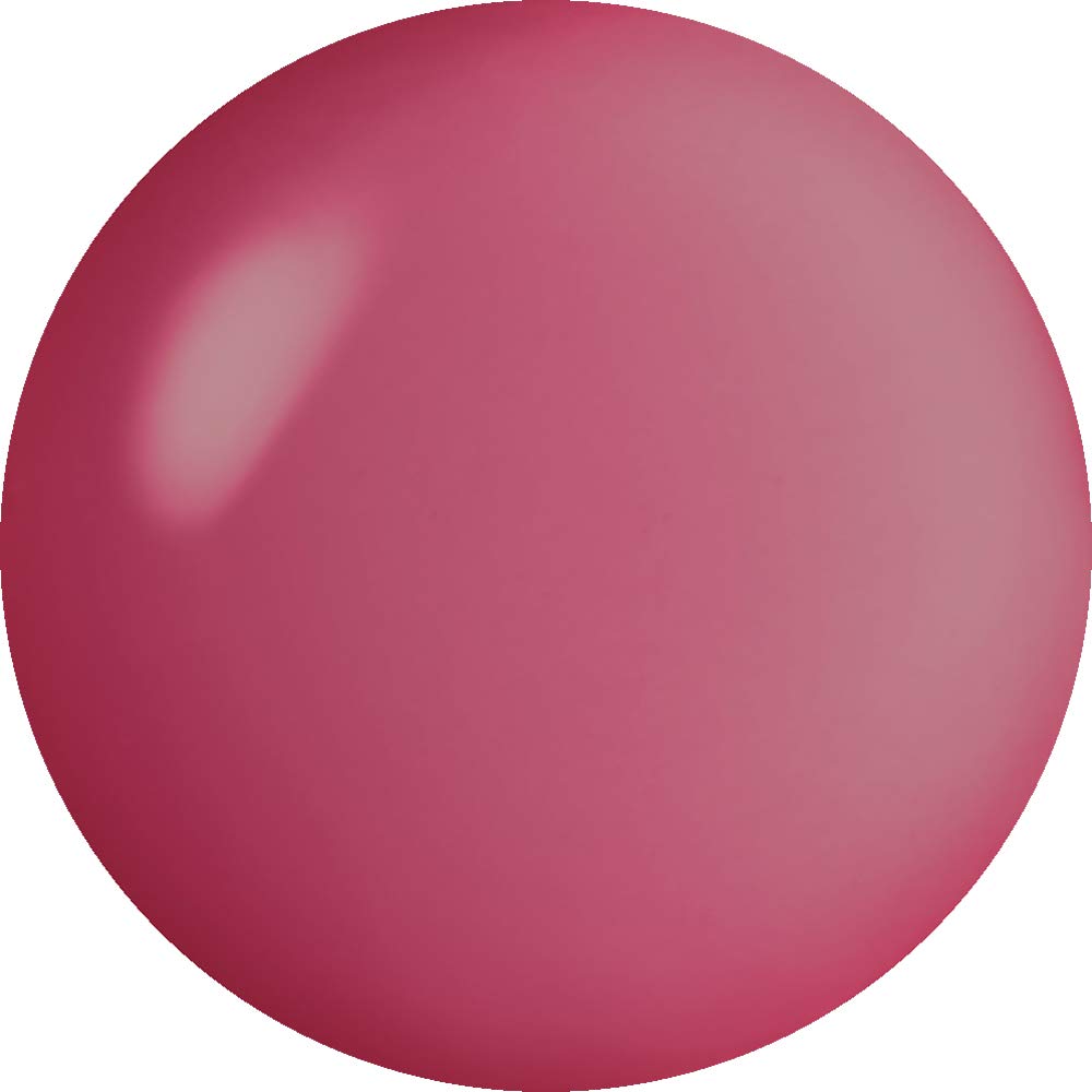 코코이스트 고지베리 브레드 푸딩 E-247S 2.5g 컬러젤 이미지 2