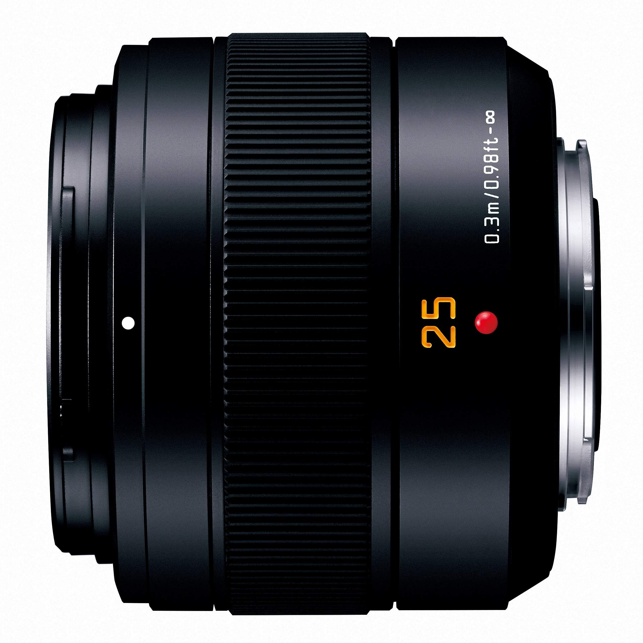 파나소닉 루믹스 라이카 DG 25mm F1.4 II 단렌즈 H-XA025 이미지 13