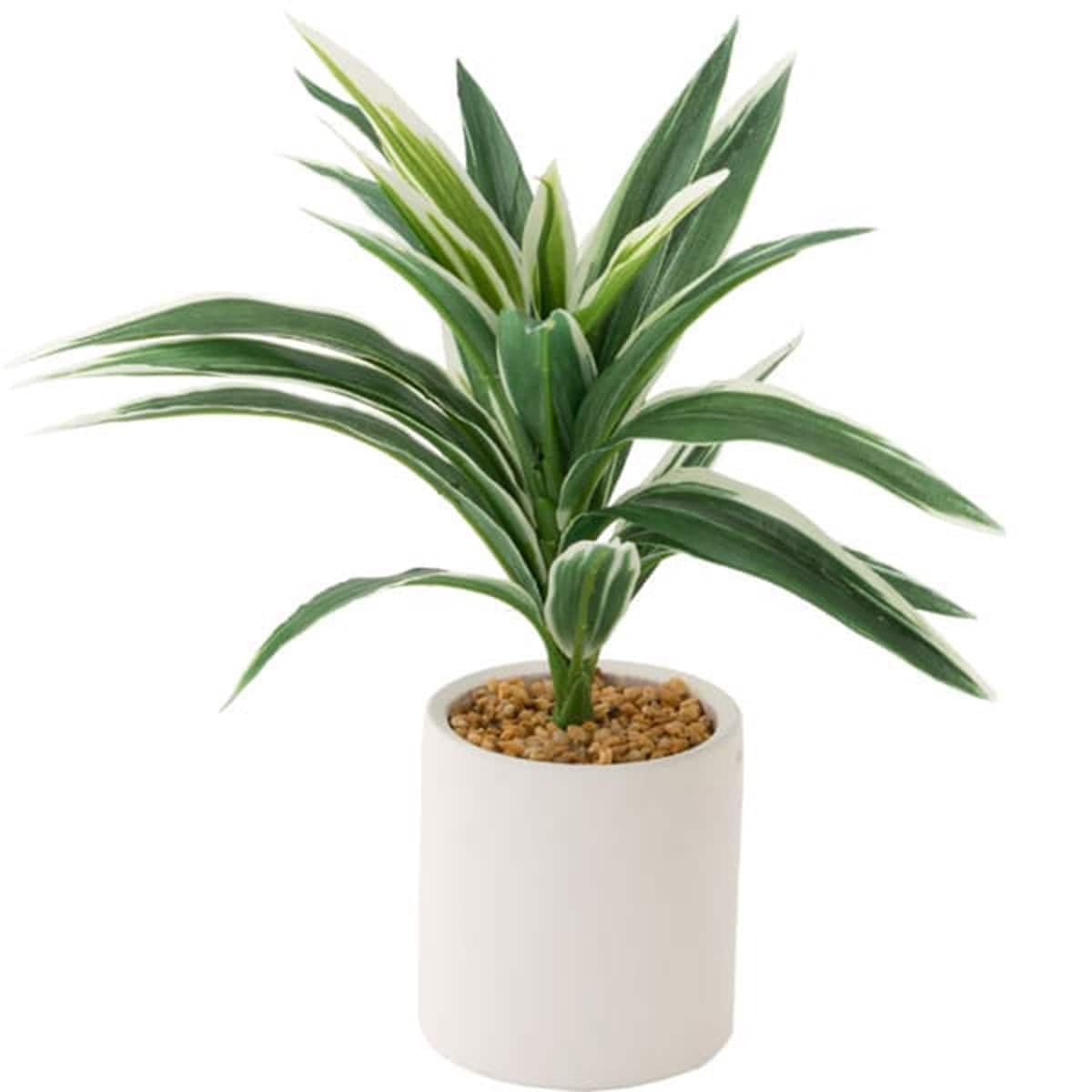 니토리 드라세나 조화 테라코타 화분 28cm 8241575