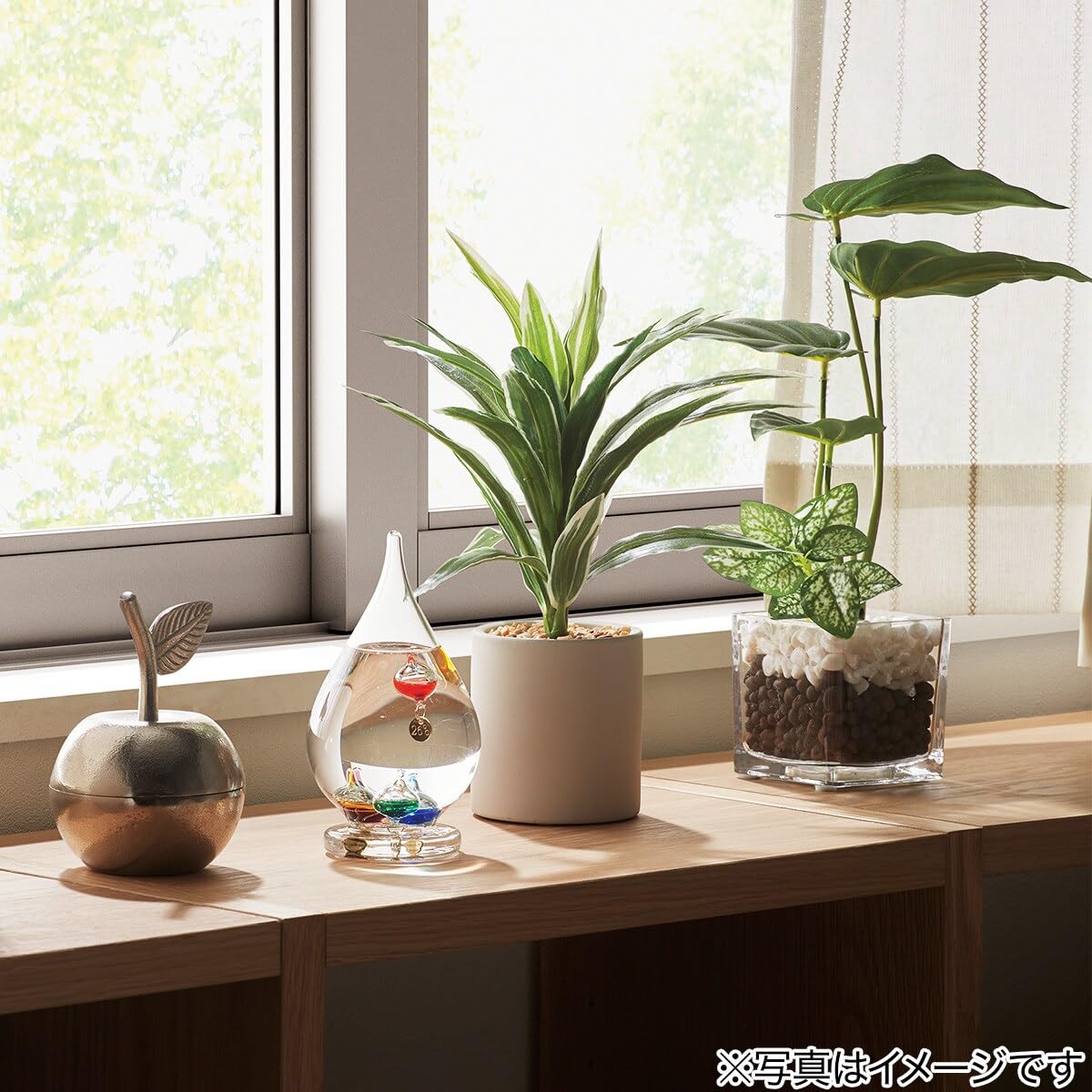 니토리 드라세나 조화 테라코타 화분 28cm 8241575 이미지 5
