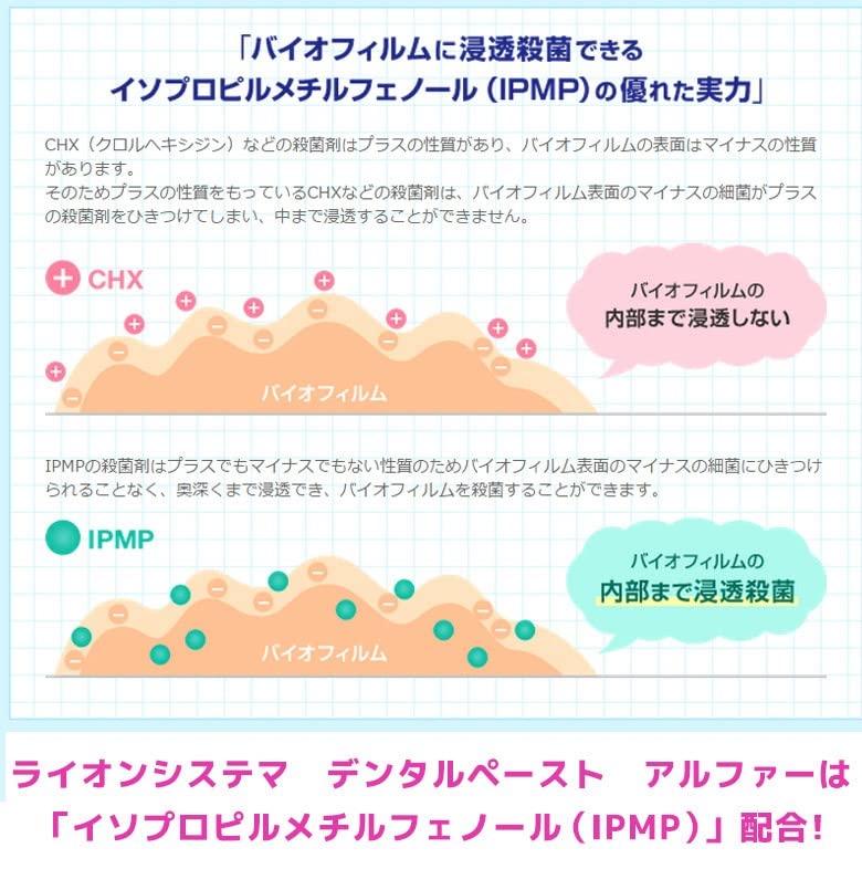 라이온 덴트 시스테마 덴탈 페이스트 알파 90g 3입 이미지 5