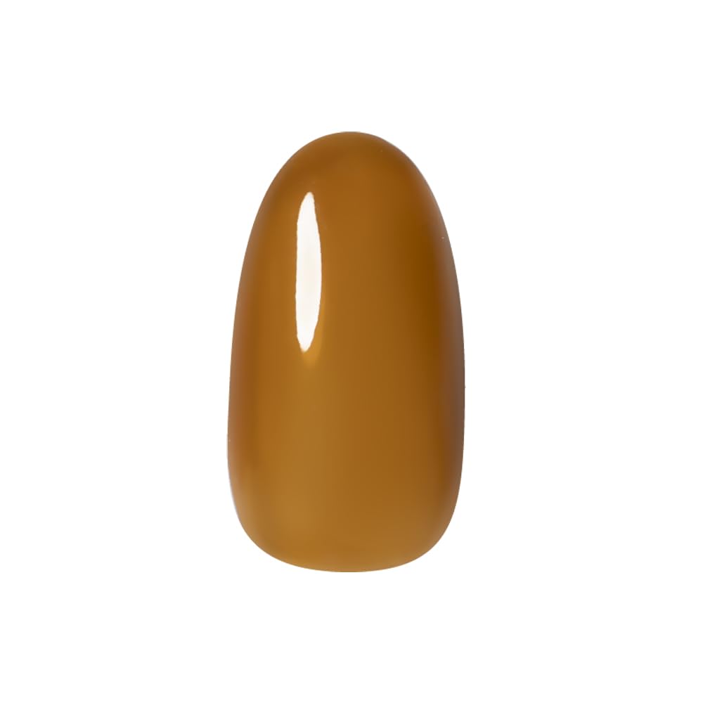 프리젤 컬러EX 브라운앰버 PG-CE950 3g 젤네일 이미지 3