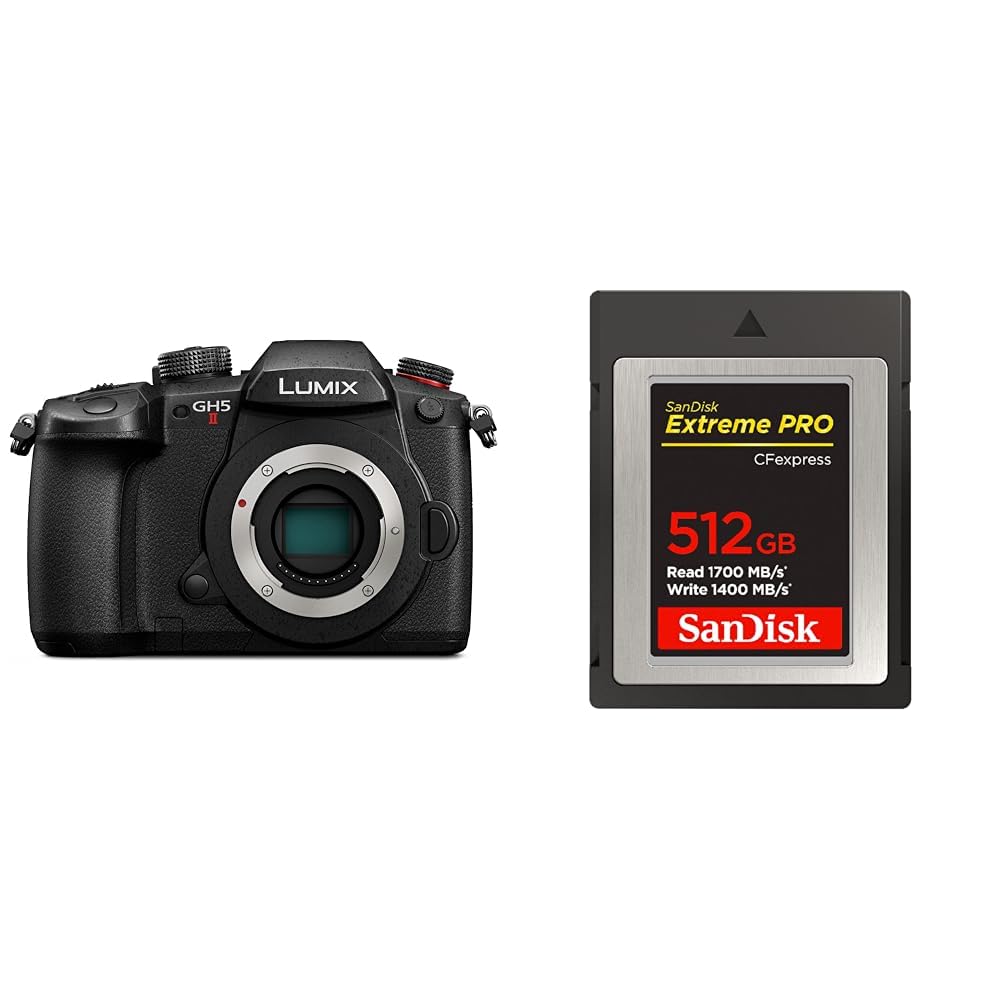 파나소닉 루믹스 블랙 DC-GH5M2 미러리스 카메라 바디 512GB
