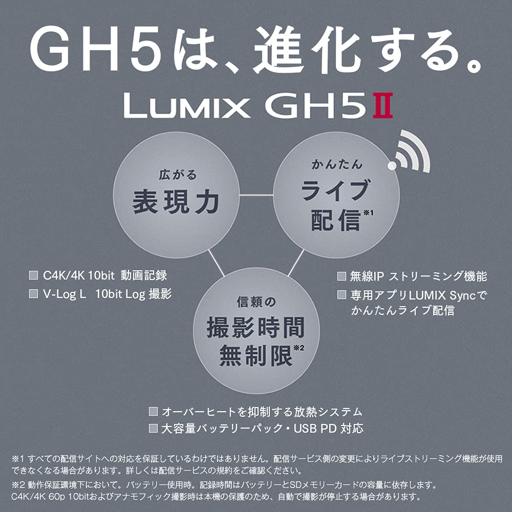 파나소닉 루믹스 블랙 DC-GH5M2 미러리스 카메라 바디 512GB 이미지 5