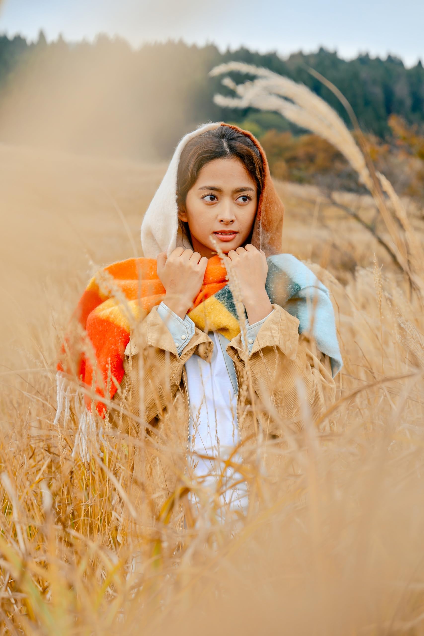 니콘 NIKKOR Z 24-105mm f4-7.1 표준 줌렌즈 단품 이미지 5