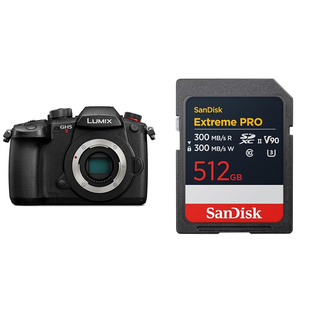 파나소닉 루믹스 DC-GH5M2 블랙 512GB 미러리스 카메라