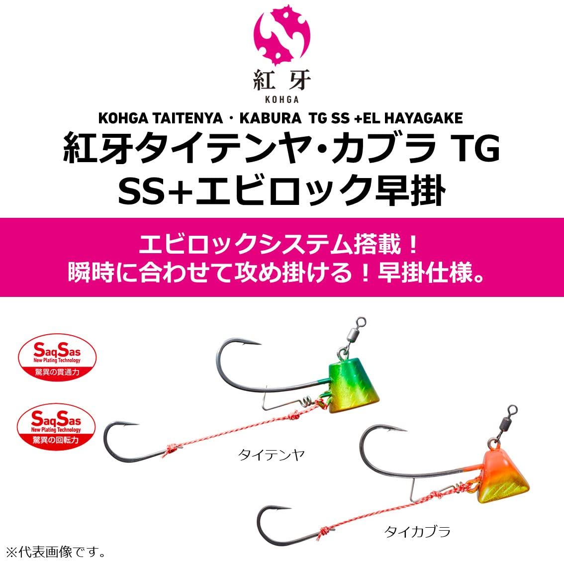 다이와 홍아 TG SS 에비락 하야가케 8호 타이카부라 이미지 2
