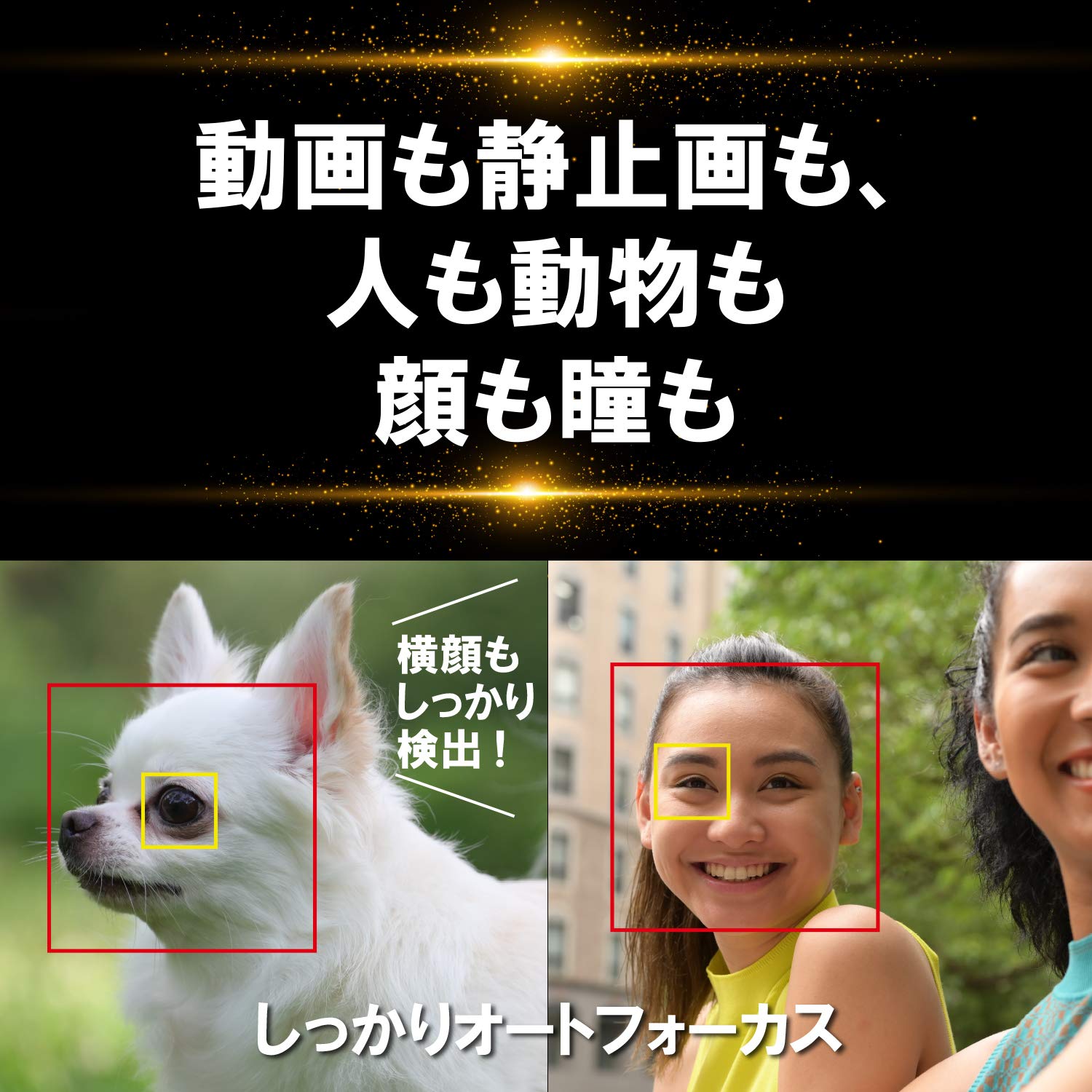 니콘 Z7II 블랙 미러리스 카메라 바디 이미지 6