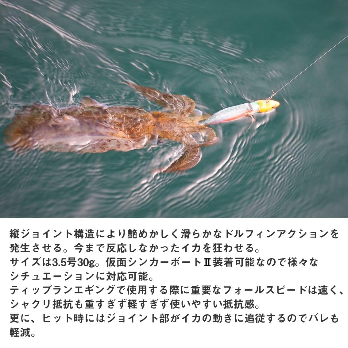 다이와 에메랄다스 보트 JT 3.5호 30g 에기 조인트 이미지 4