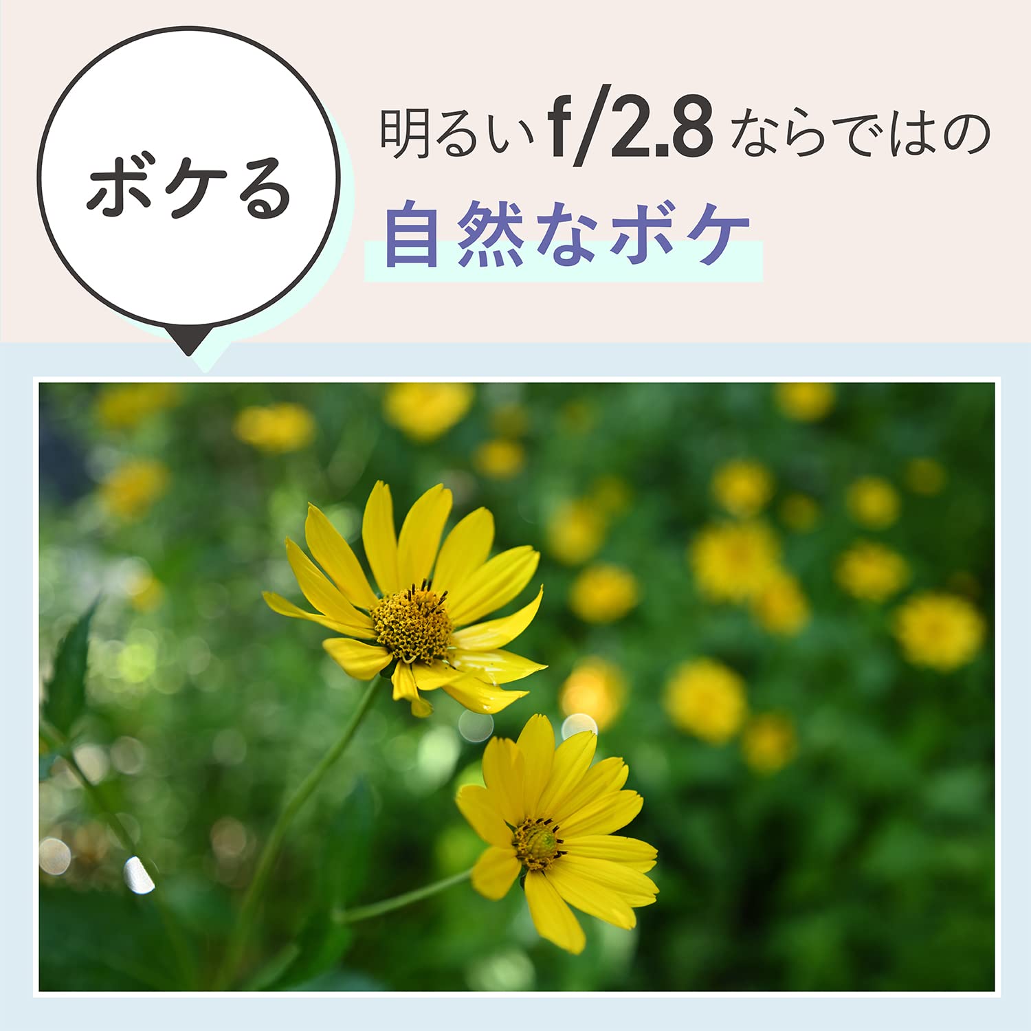니콘 NIKKOR Z 17-28mm f/2.8 광각 줌렌즈 렌즈 단품 이미지 4