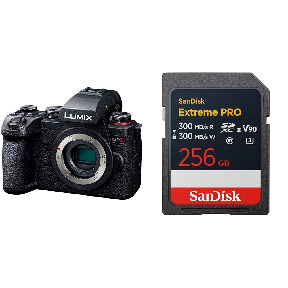 파나소닉 루믹스 DC-G9M2 블랙 바디 256GB