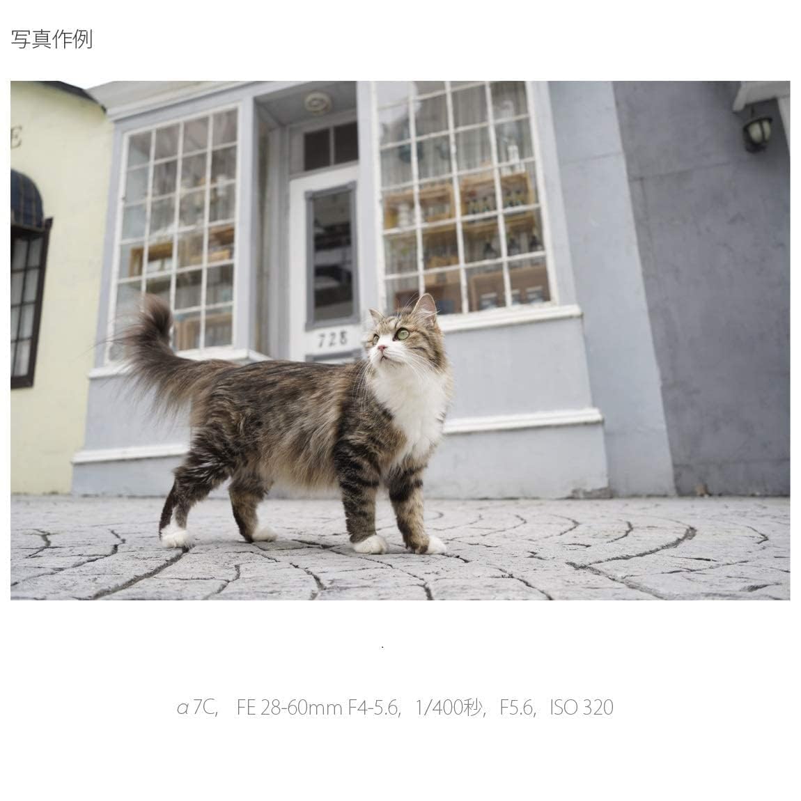 소니 알파 7C 블랙 ILCE-7CL 줌렌즈 키트 이미지 12