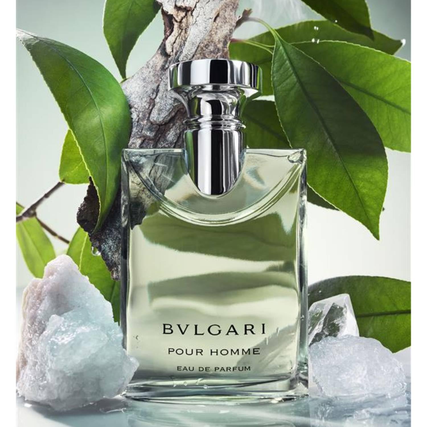 불가리 뿌르옴므 오드퍼퓸 100mL 이미지 3