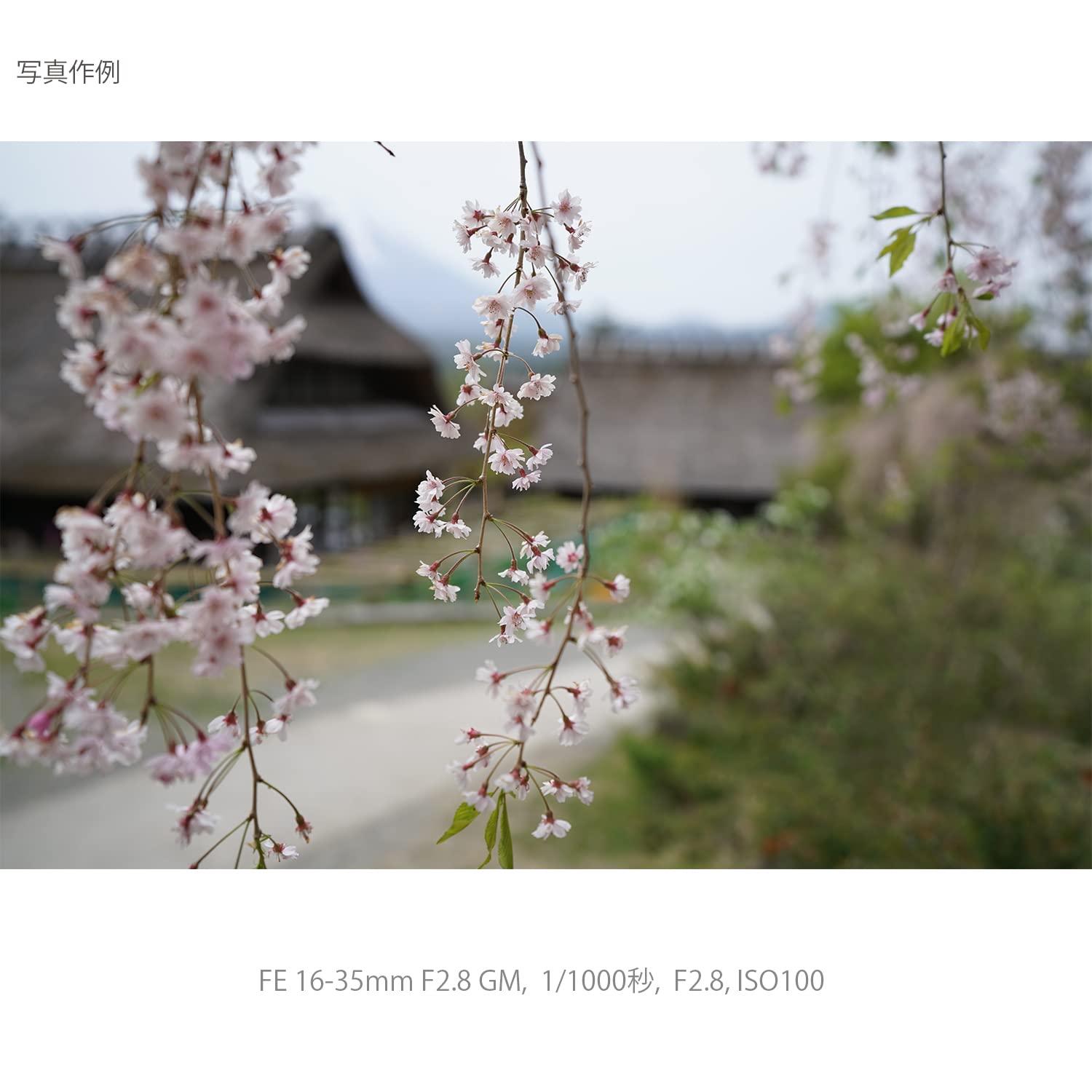 소니 알파  7C II 블랙 ILCE-7CM2 광각 줌 렌즈 키트 SEL1635GM 이미지 15