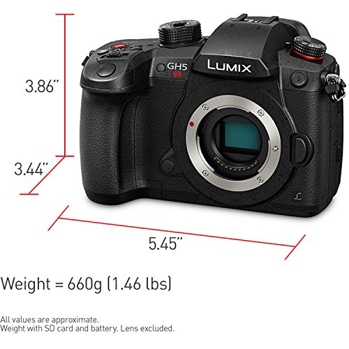 파나소닉 루믹스 DC-GH5S 미러리스 카메라 키트 이미지 6