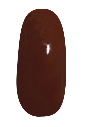 프리젤 컬러EX 라이너 비터초코 10 3g 젤네일 이미지 3