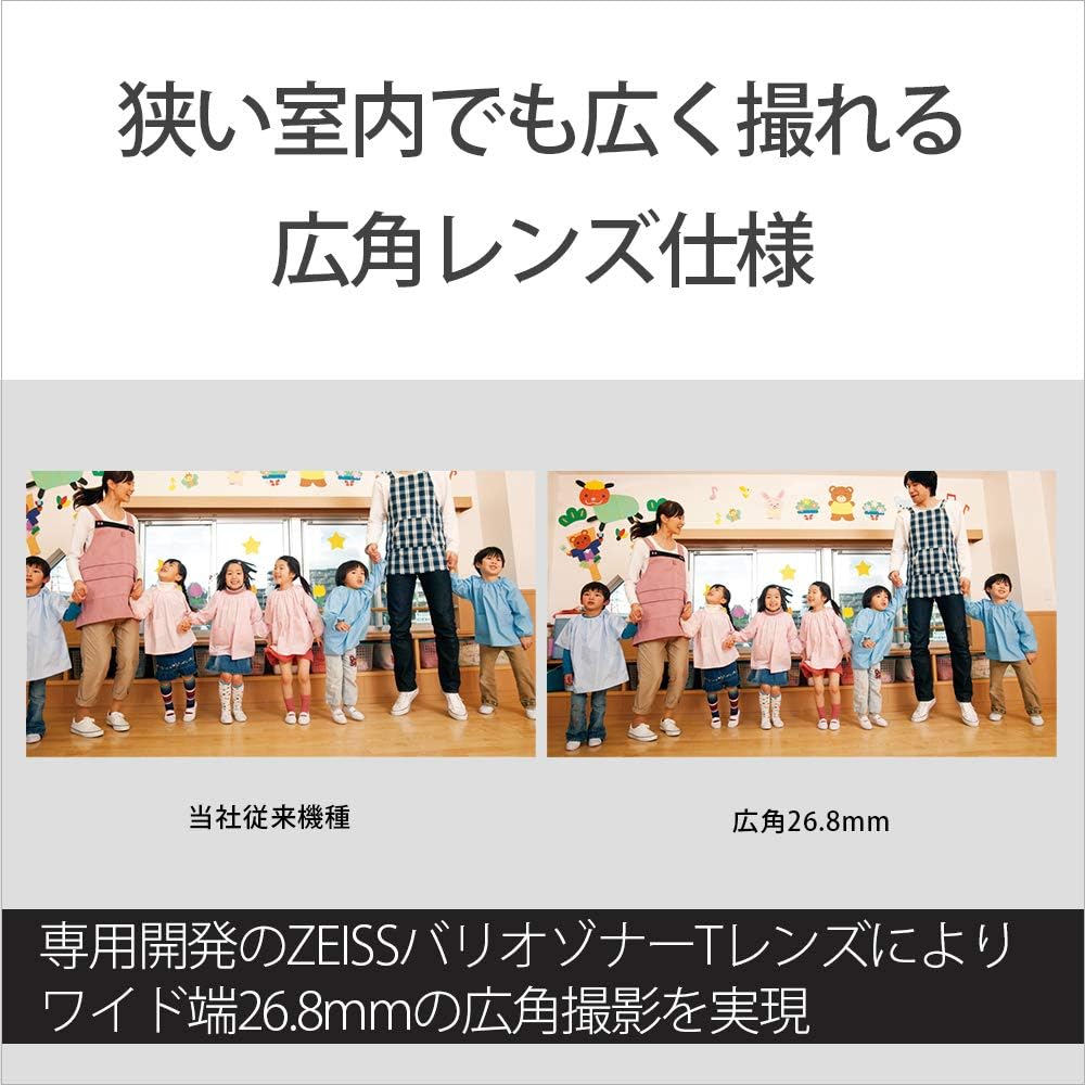 소니 핸디캠 브론즈브라운 FDR-AX45A 64GB 4K 캠코더 이미지 6