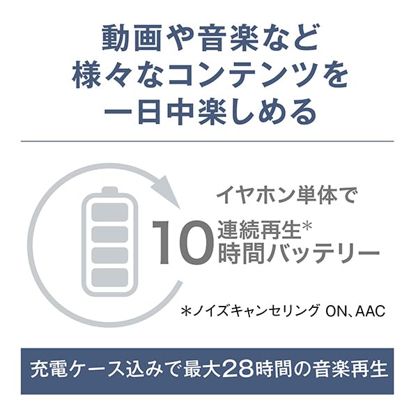파나소닉 테크닉스 EAH-AZ100 실버 무선 이어폰 이미지 6