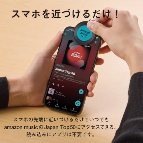 파나소닉 테크닉스 EAH-AZ100 실버 무선 이어폰 이미지 3