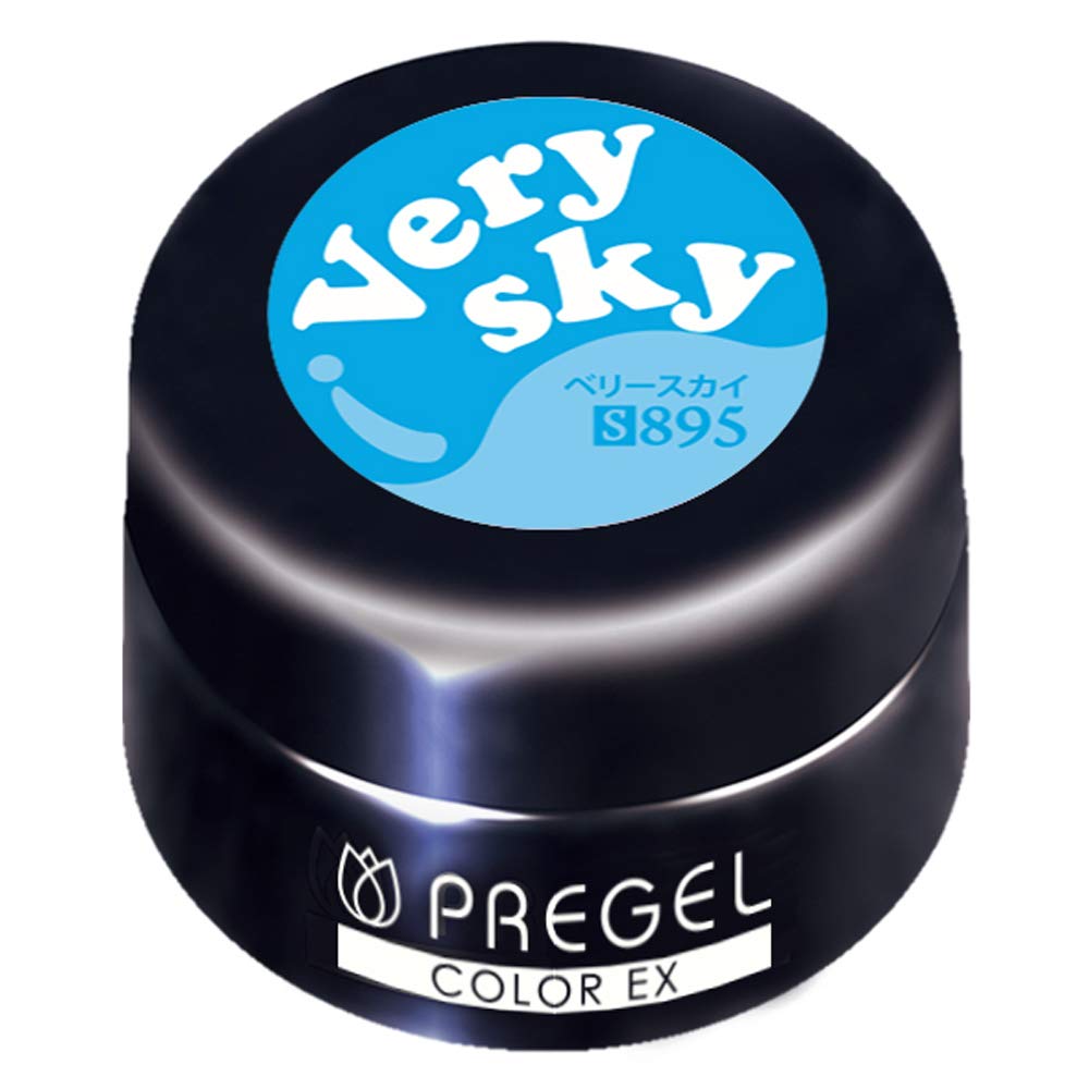 프리젤 컬러EX 베리스카이 PG-CE895 3g 젤네일