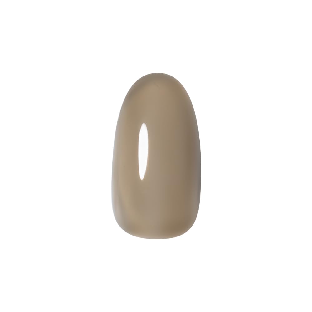 프리젤 컬러EX 글라스브라운 PG-CE971 3g 젤네일 이미지 3