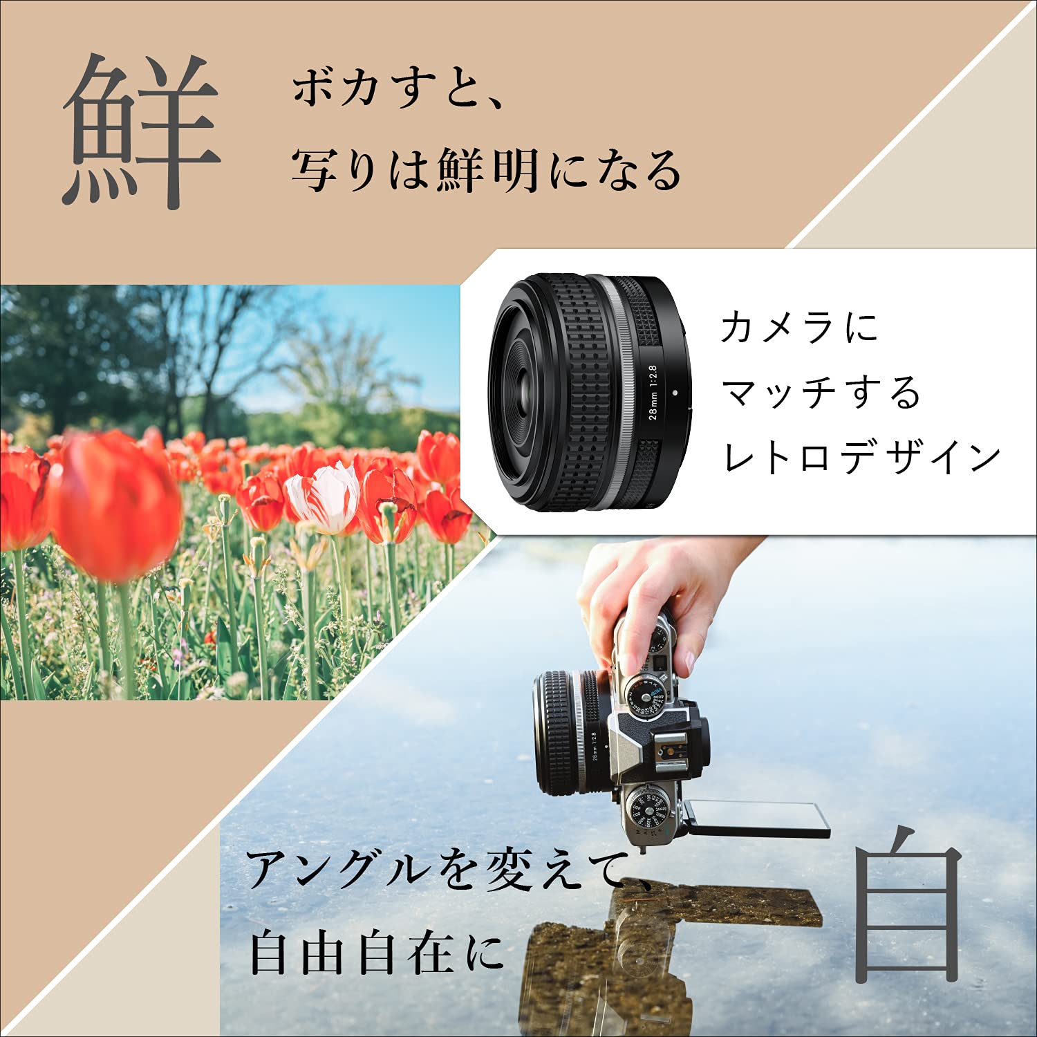 니콘 Z fc 블랙 16-50mm VR 렌즈킷 미러리스 카메라 없음 이미지 6