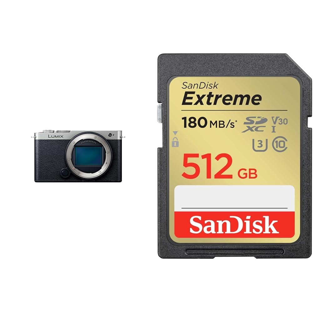 파나소닉 루믹스 다크실버 DC-S9-S 512GB 풀프레임 미러리스 카메라