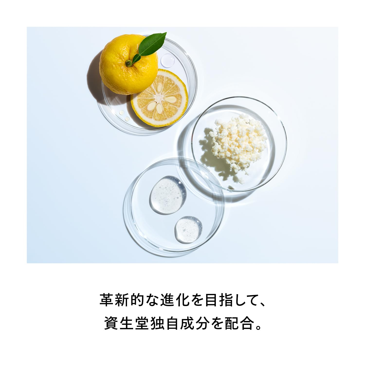 시세이도 오이델민 에센스 로션 리필 145mL 화장액 이미지 3