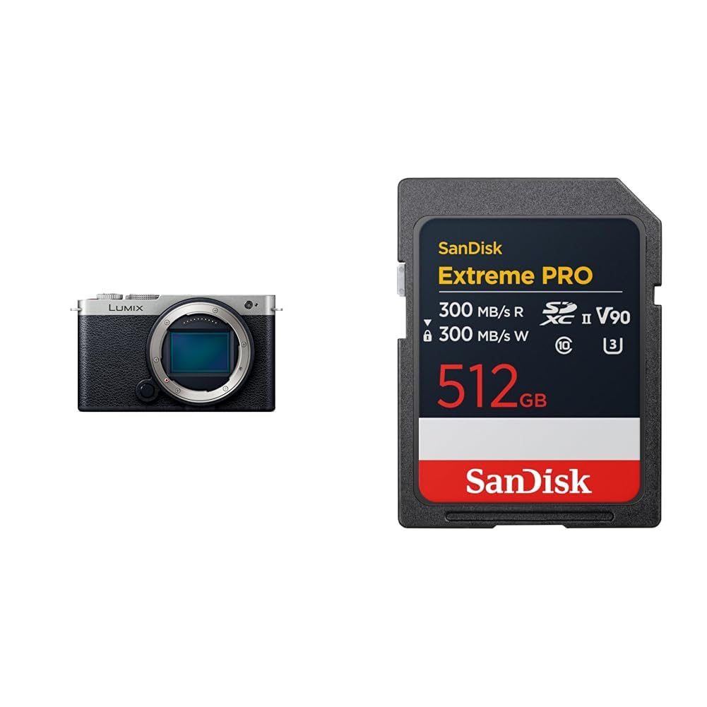 파나소닉 루믹스 DC-S9-S 다크실버 바디 512GB Class10
