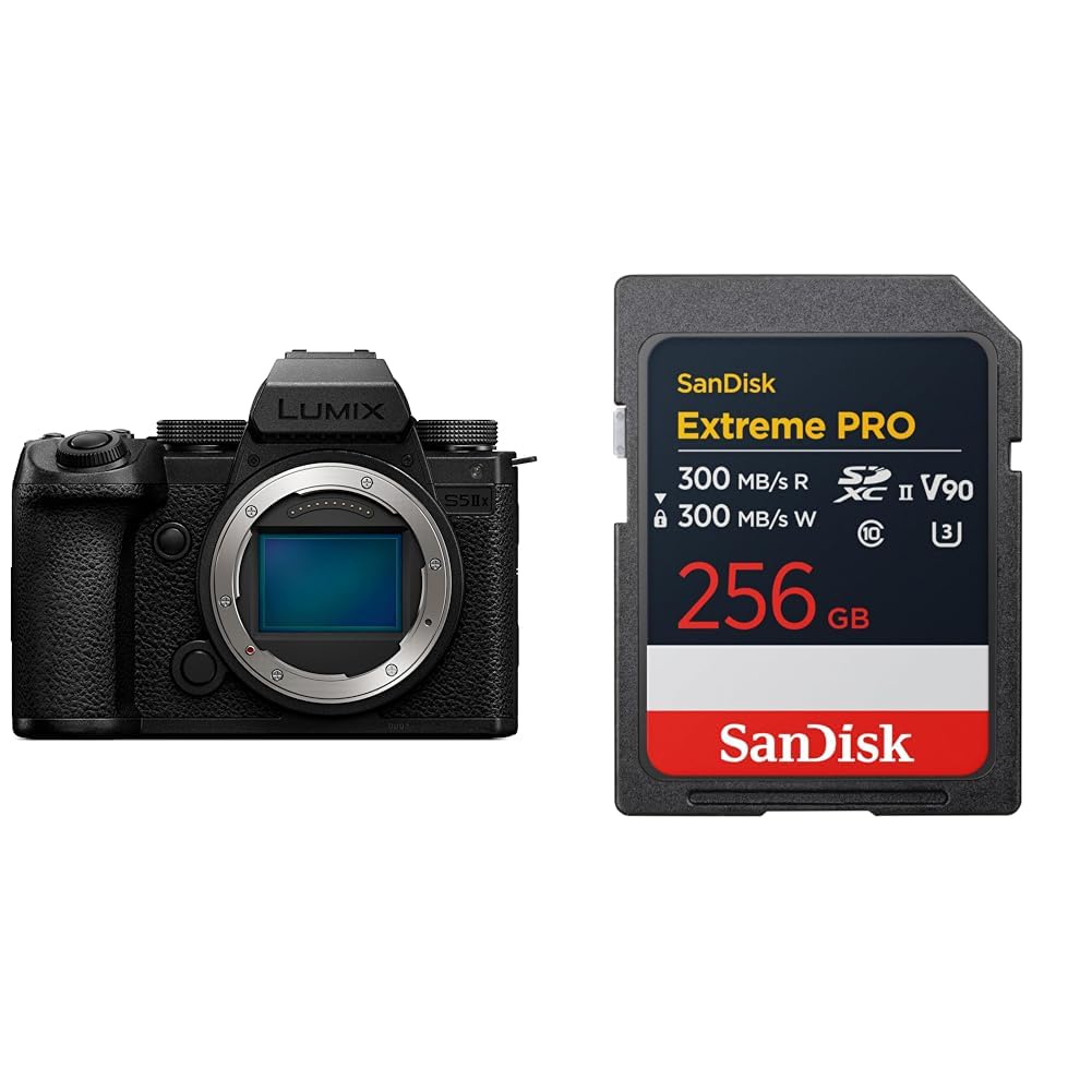 파나소닉 루믹스 DC-S5M2X 블랙 256GB 미러리스 카메라 Class10