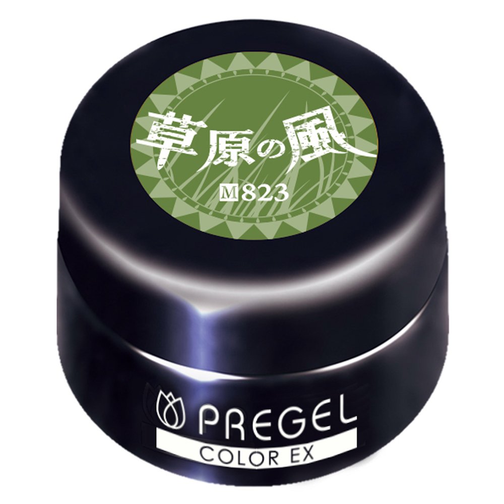 프리젤 컬러EX 초원의바람 823 3g 젤네일