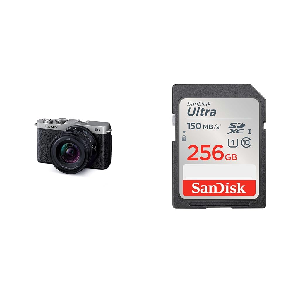 파나소닉 루믹스 DC-S9N-S 다크실버 렌즈킷 256GB 울트라