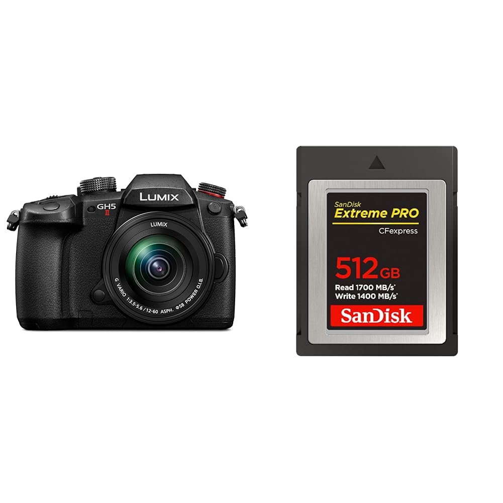 파나소닉 루믹스 블랙 DC-GH5M2M 미러리스 카메라 렌즈킷