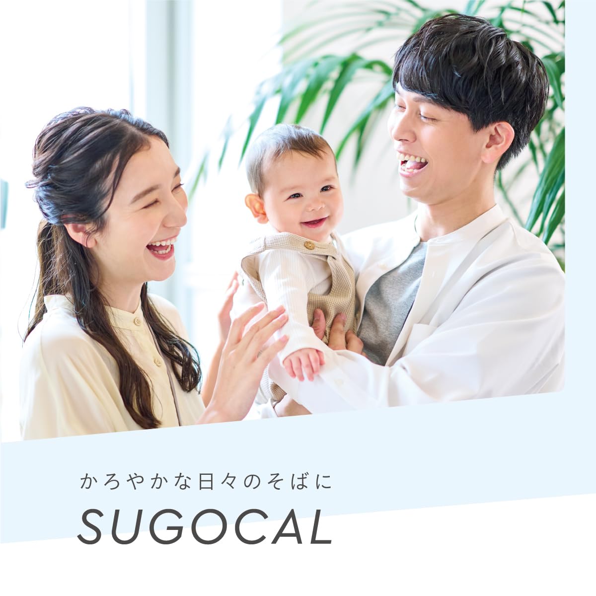 콤비 스고카루 에어 MN 그레이 양대면 유모차 에그쇼크 단품 이미지 6