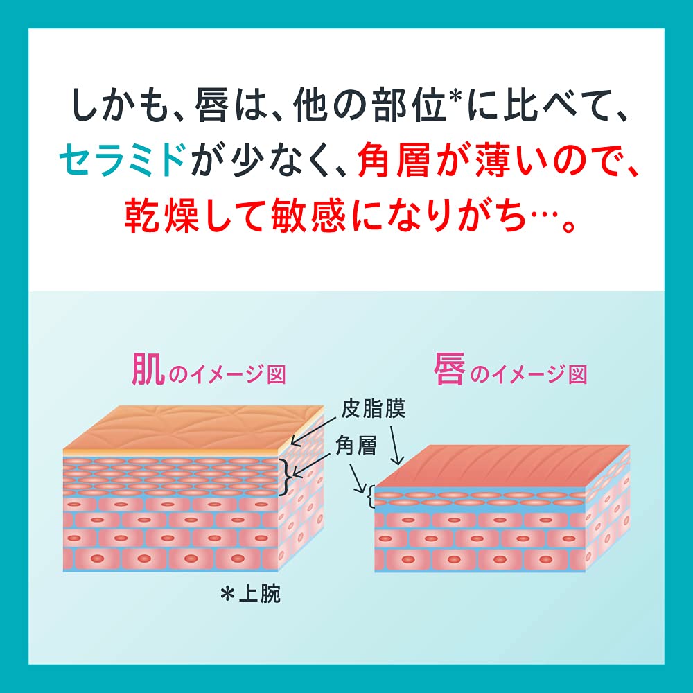 큐렐 립케어 스틱 은은한 발색 4.2g 1개 이미지 4