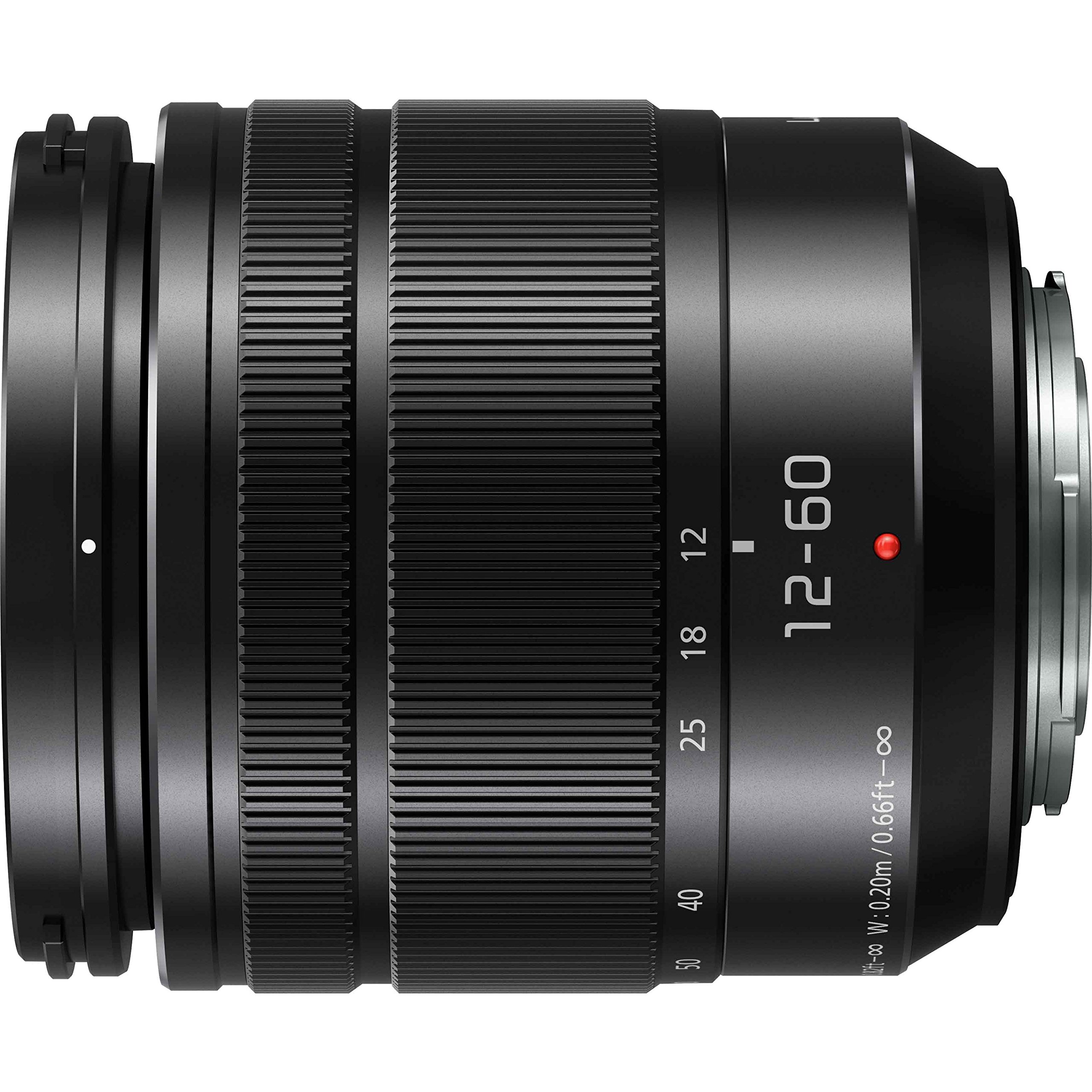파나소닉 루믹스 G 12-60mm F3.5-5.6 ASPH POWER O.I.S. 렌즈만