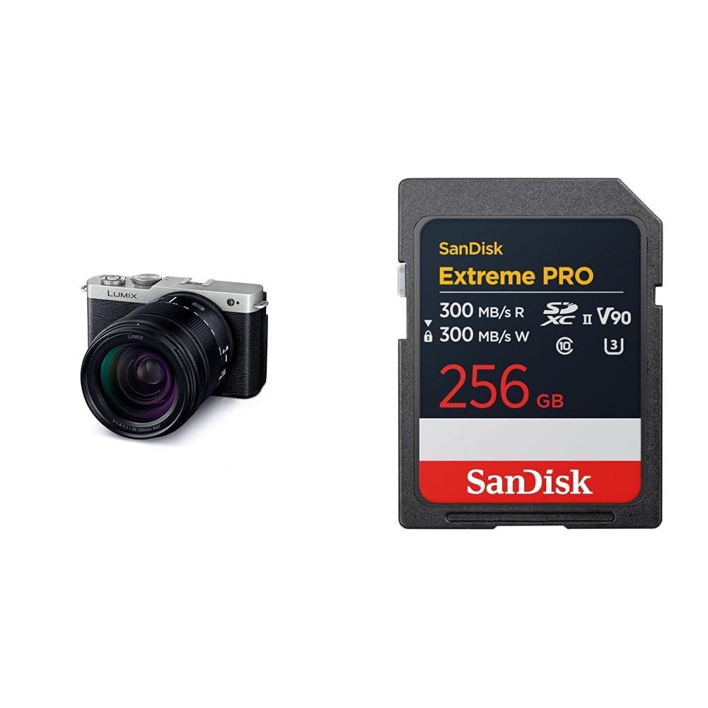 파나소닉 루믹스 DC-S9H-S 다크실버 줌렌즈킷 256GB 이미지 1