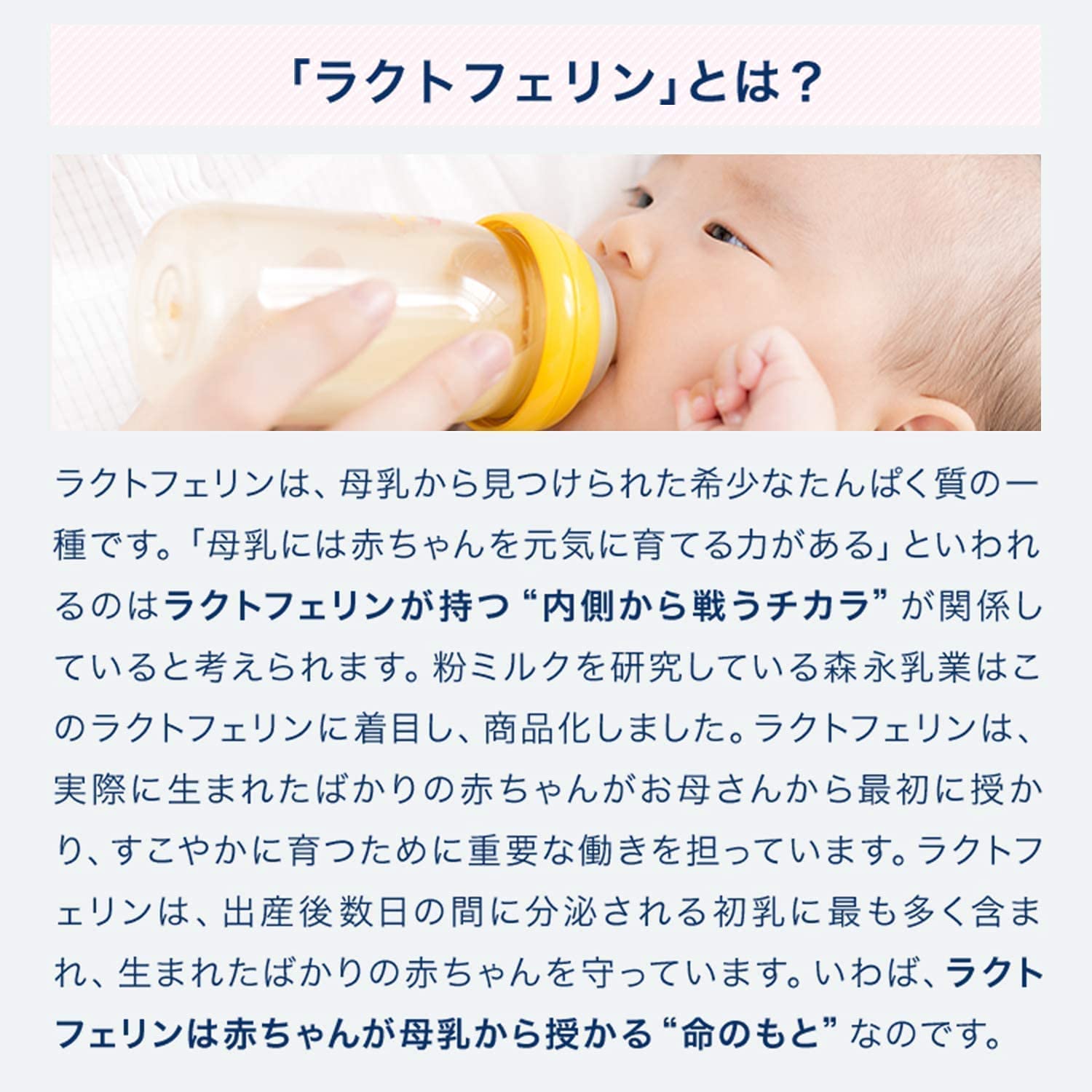 모리나가 락토페린 오리지널 90정 건강기능식품 12봉(180일분) 이미지 3