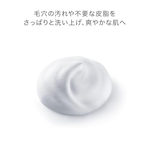 시세이도 스킨케어 딥 클렌징 폼 125g 모공 케어 세안제 이미지 4